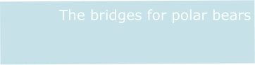 The bridges for polar bears